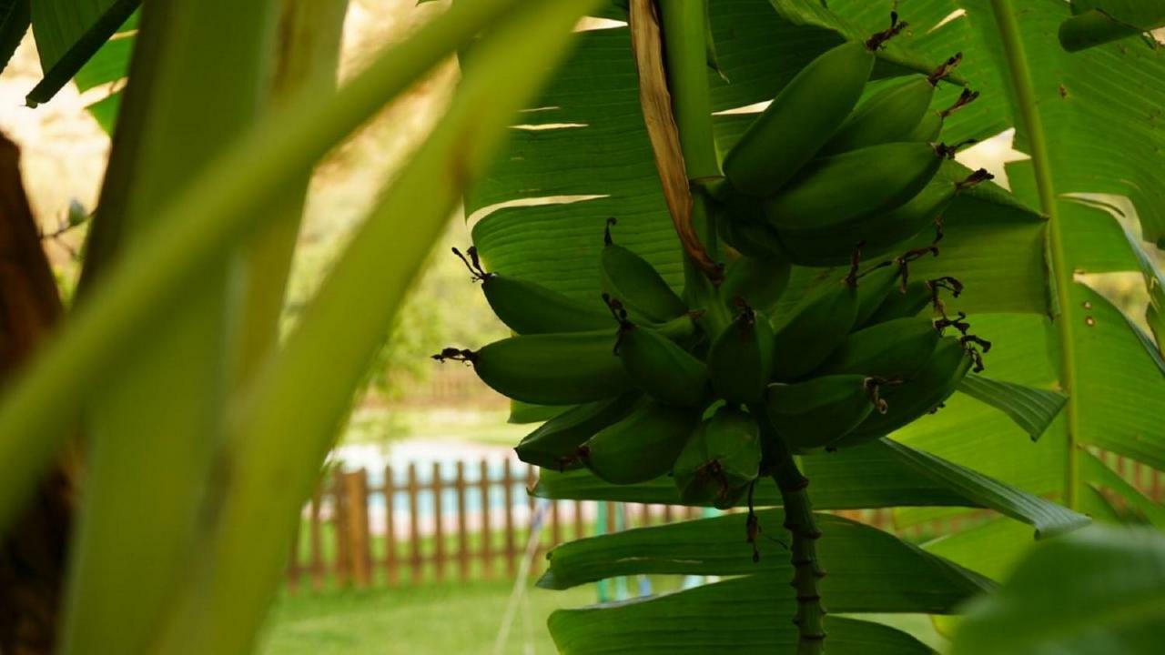 Villa Tropical Slow Orgiva Eksteriør bilde